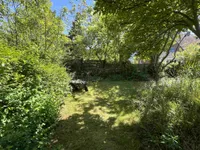 Blick in den Garten