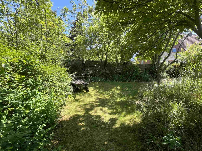 Blick in den Garten