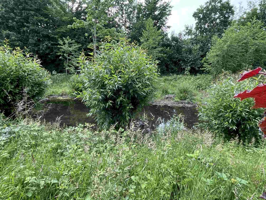 Angrenzend - der Moersbach