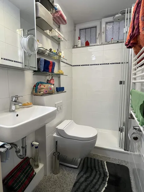 Aufwändig saniertes Duschbad/WC