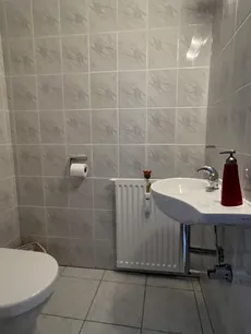 Das Gäste-WC