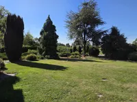 Blick in den Garten