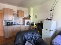 ... mit offener Küche