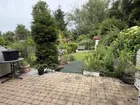 Terrasse mit Blick in den Garten
