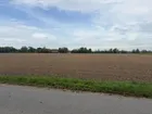 So gut wie keine Nachbarn...