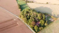 Der Blick von oben