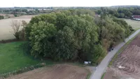 Blick auf's Wäldchen