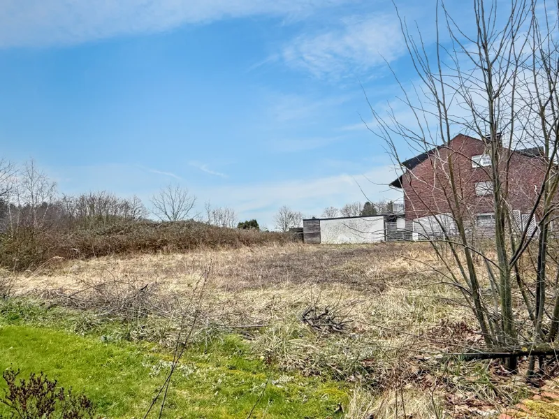 Grundstück vorderer Bereich
