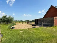 Grünland / Koppel