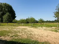 Grünland / Koppel