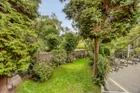 Blick in den Garten