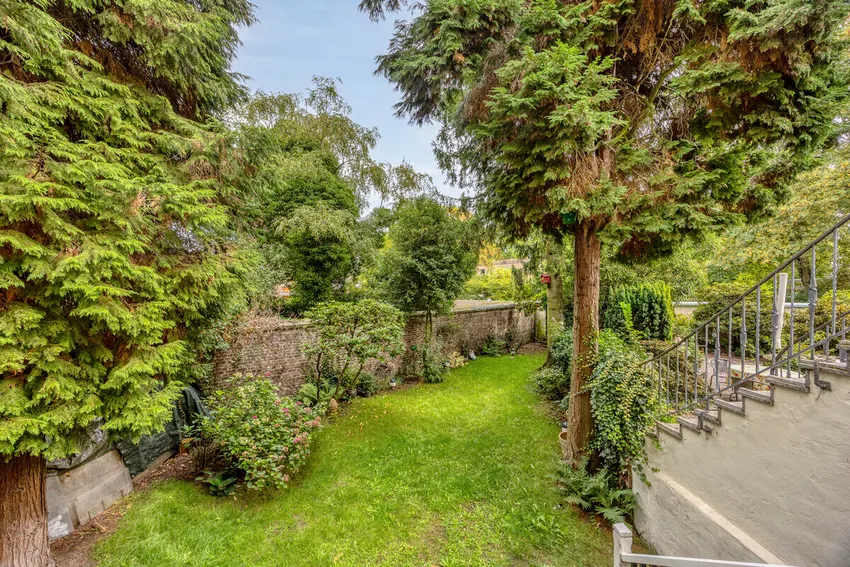 Blick in den Garten