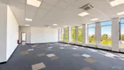 Bürpfläche