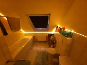Bild5