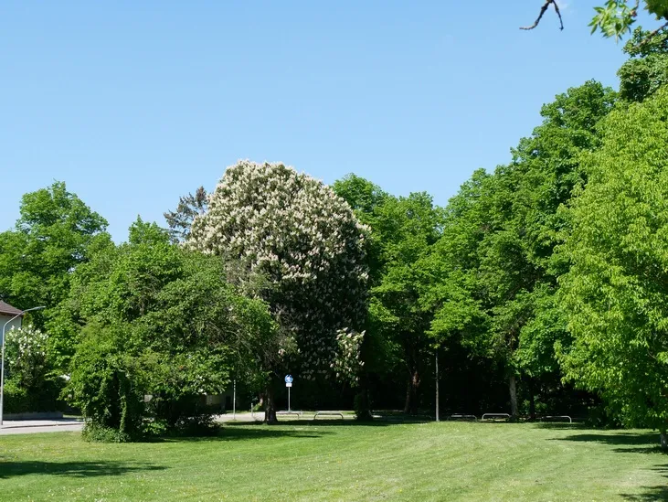 NEU – Gro&szlig;z&uuml;gige und absolut ruhige 2 Zim.-Whg. in SW-Lage mit gro&szlig;em Garten an einem Park N&auml;he U 2