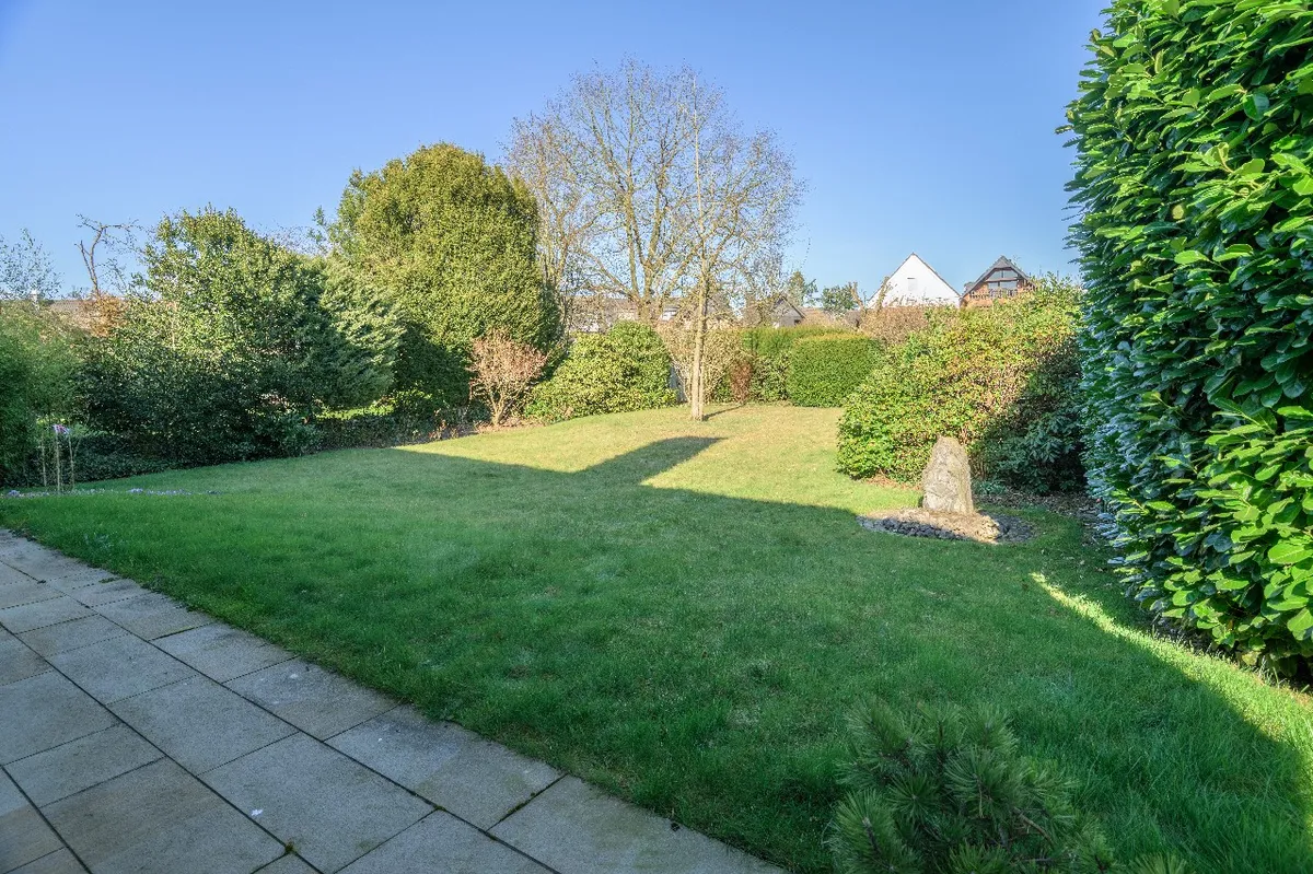 Blick in den Garten