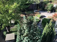 Blick in den Garten