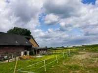 Stallansicht