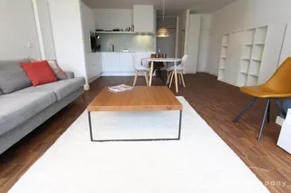Top eingerichtete 2-Zimmer-Wohnung im denkmalgeschützten Midcentury-Gästehaus der Alexander-von-Humboldt-Stiftung im Bonner Villenviertel!