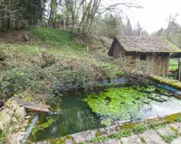 Sauna mit Tauchbecken