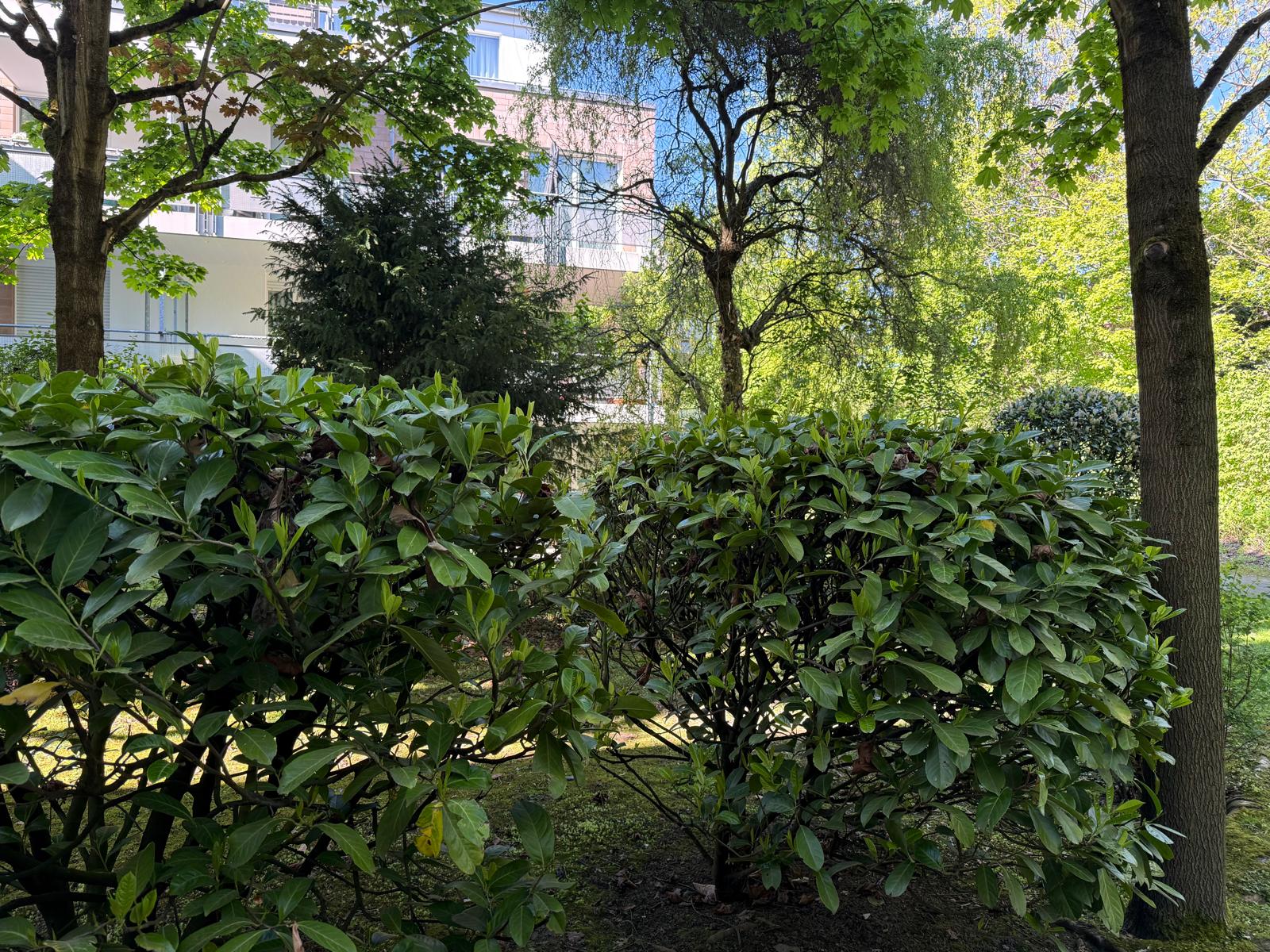 Garten2