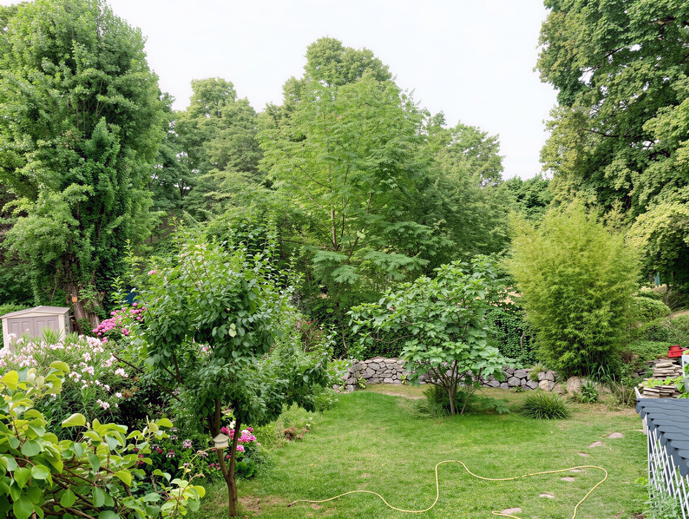Ausblick Balkon