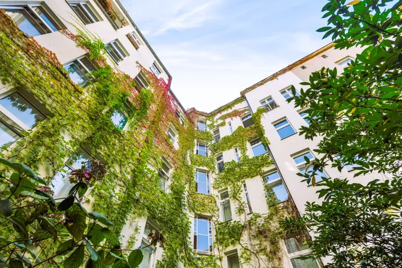 backbone_514318-A_067_WEB 1