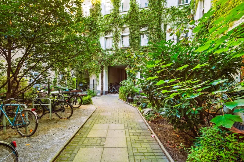 backbone_514318-A_070_WEB 1