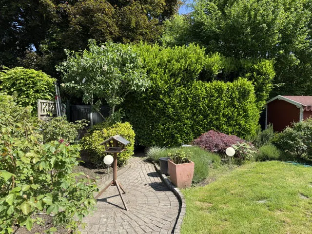 Bild6