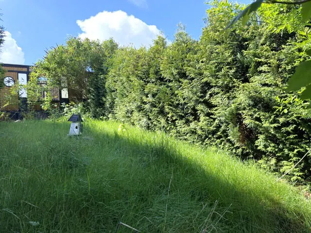 Bild3