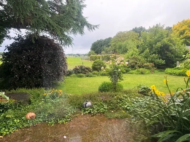 Gartenansicht 