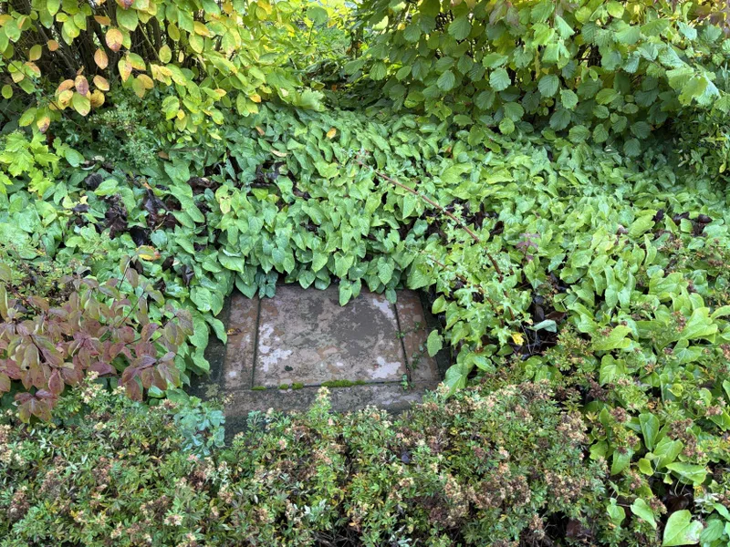 Bunkerausgang im Vorgarten