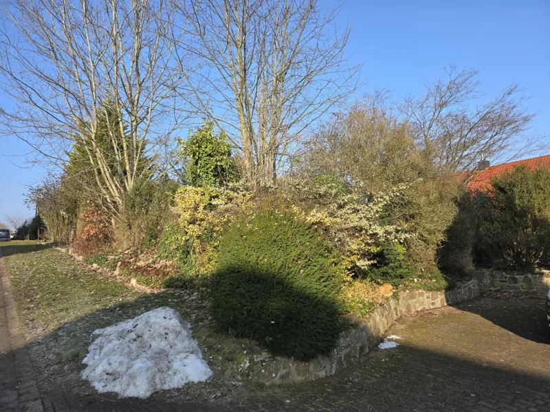 Bauplatz Straßenansicht