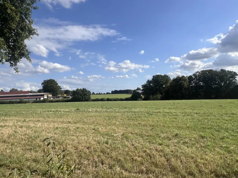 Blick auf Wiesen und Felder