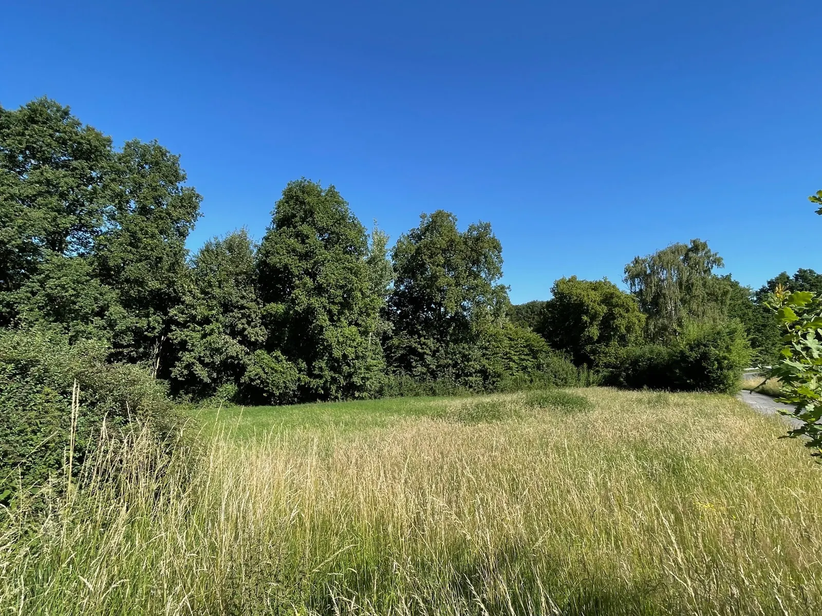 Eine eigene Wiese...