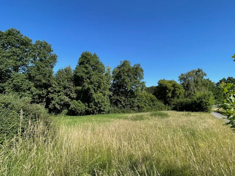 Eine eigene Wiese...