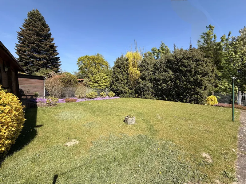 Blick in den Garten