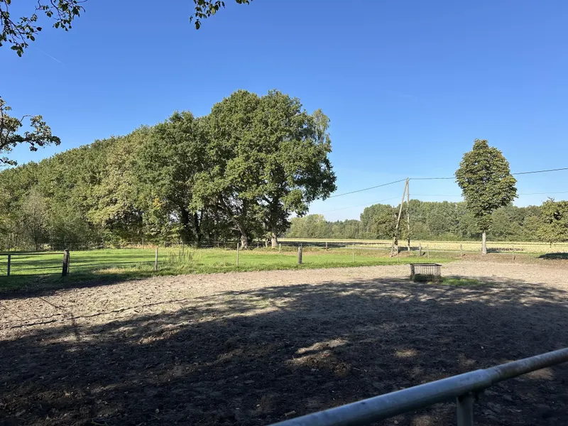 Paddock