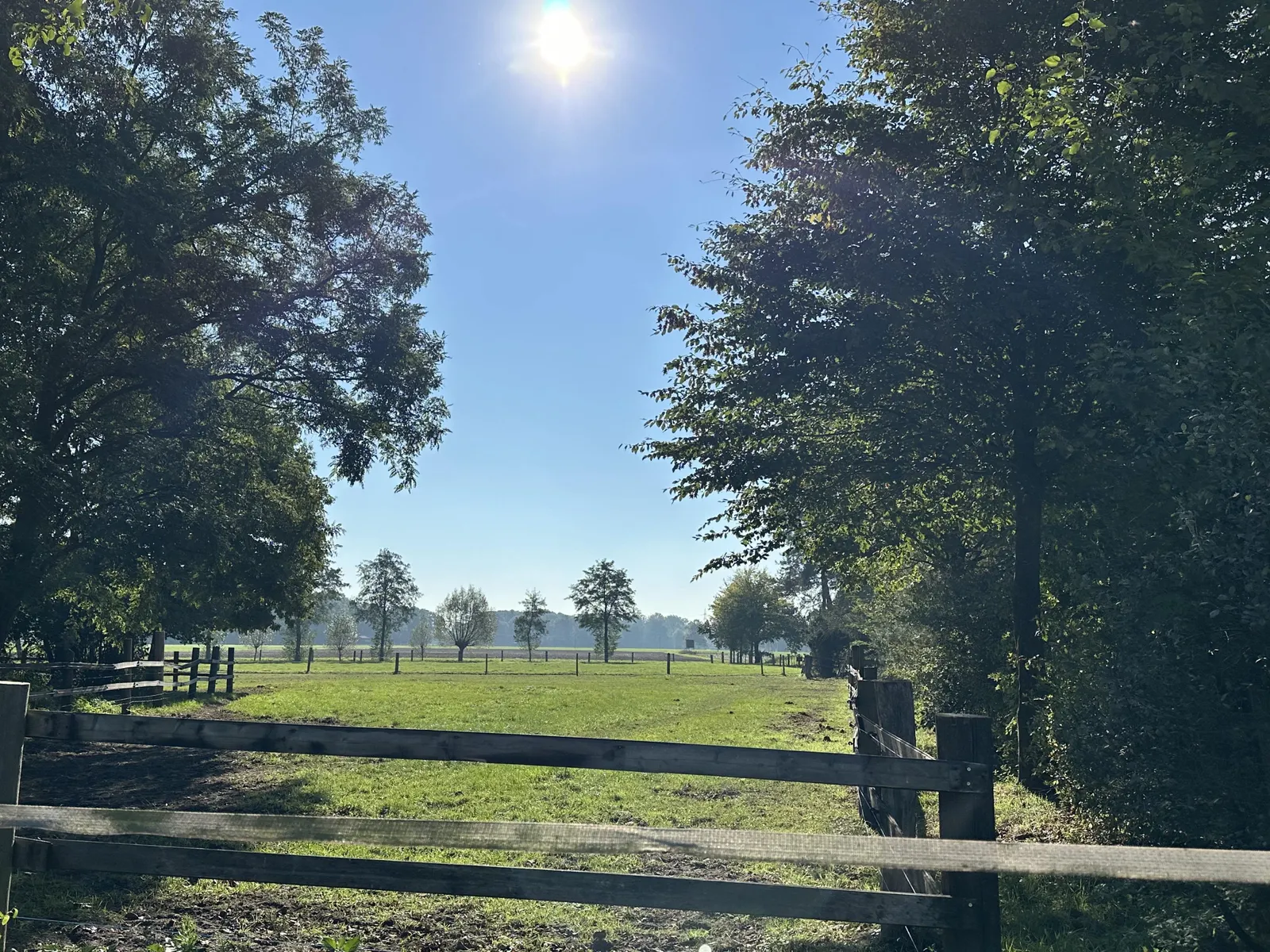 Auslauf