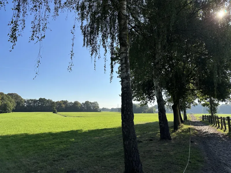 Feldweg