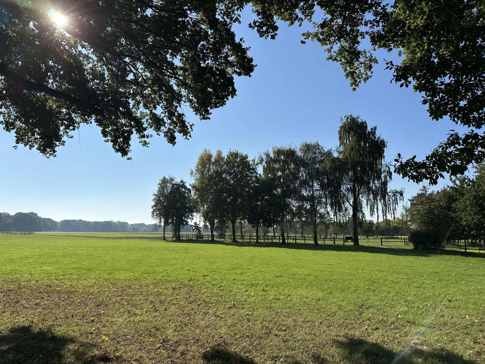 Ansicht Grünland