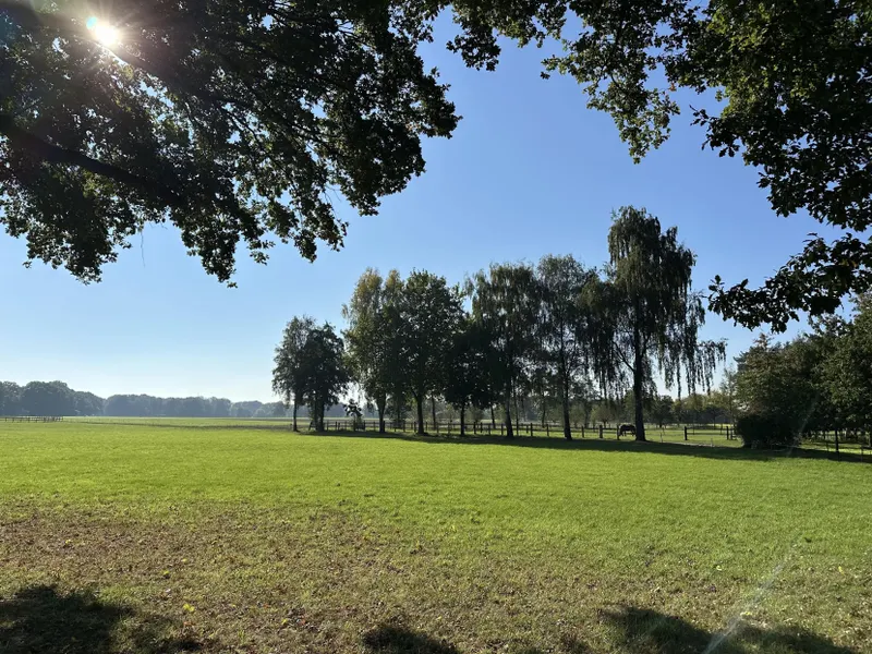 Ansicht Grünland