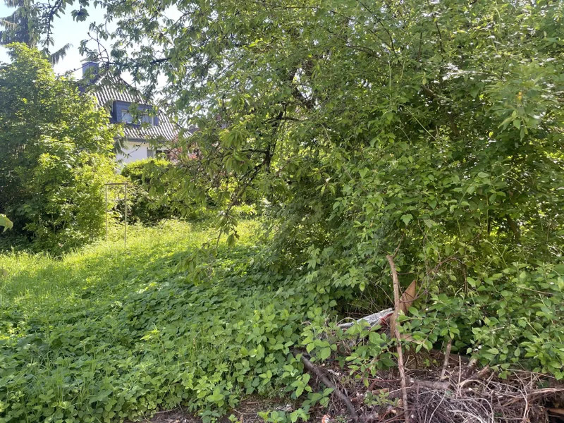 Garten mit Baumbestand
