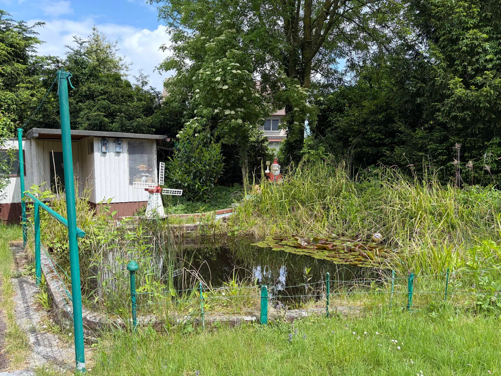 Gartenteich
