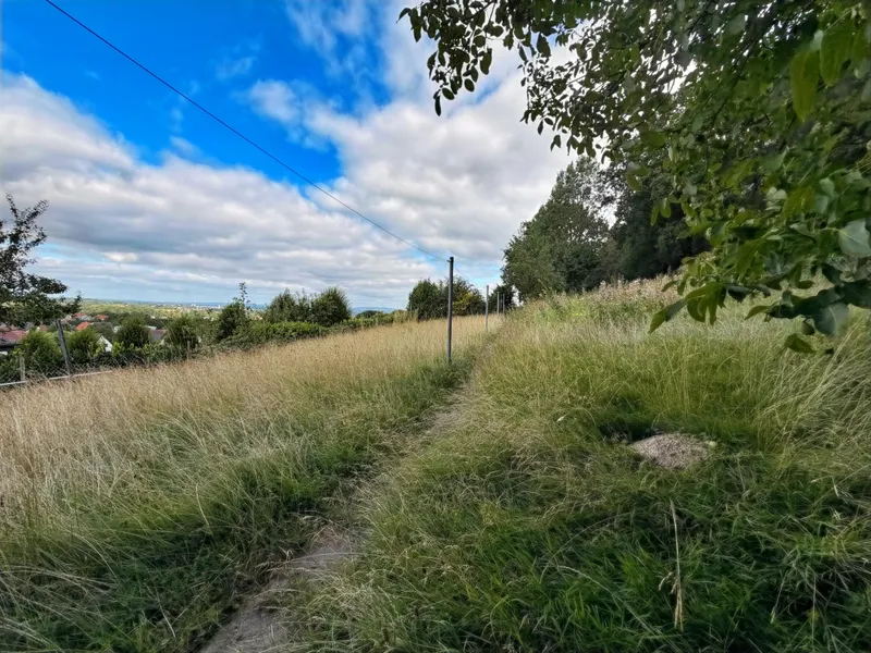 Gartenbereich