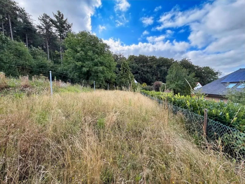 Gartenbereich