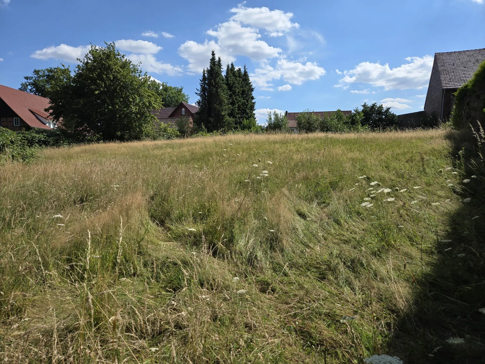 Ansicht rechtsseitig