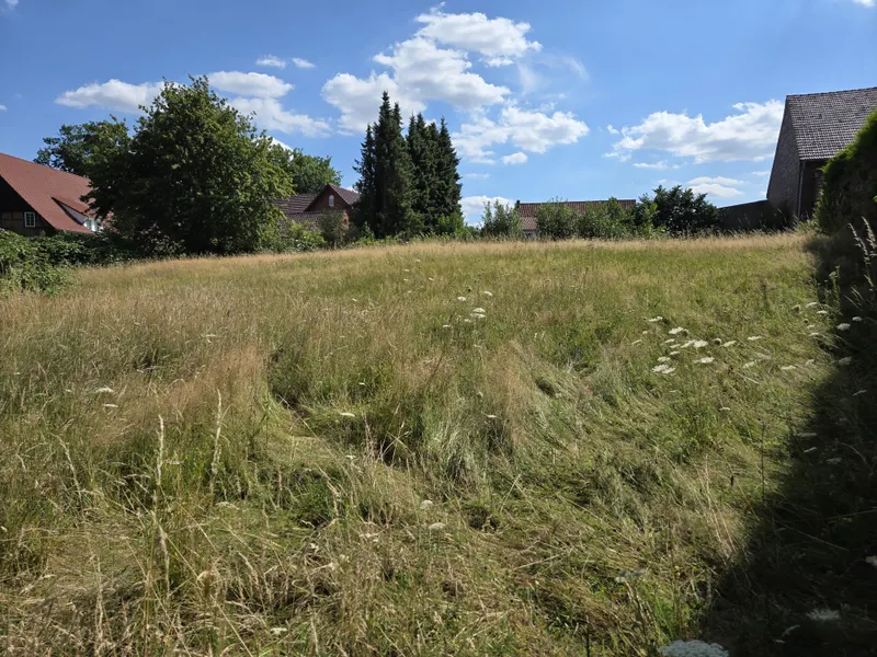 Ansicht rechtsseitig