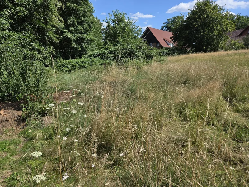 Ansicht Richtung Bach