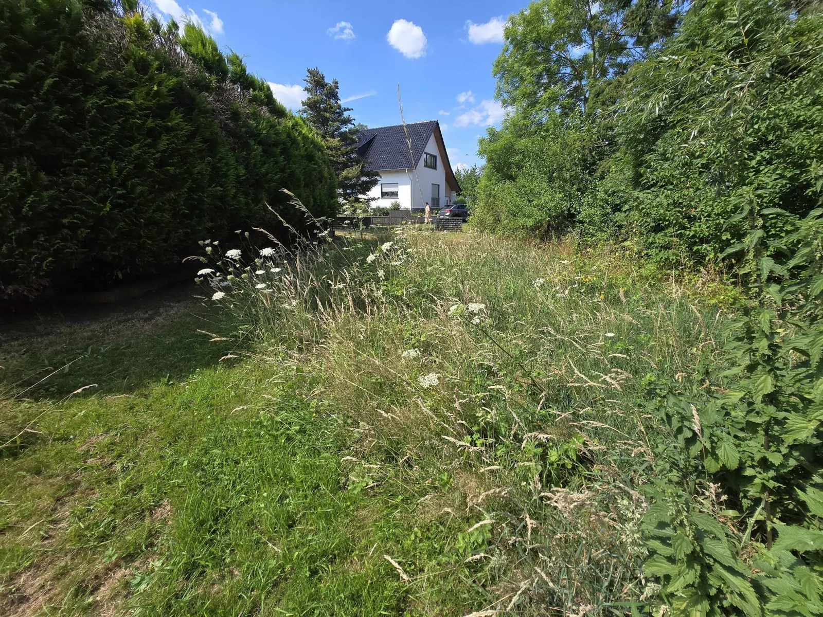 Ansicht Richtung Straße